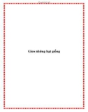 Gieo những hạt giống