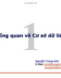 Tổng quan về Cơ sở dữ liệu - Chương 1