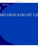 Báo cáo: Mô hình kho dữ liệu