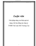 Luận văn: Giải pháp nâng cao hiệu quả sử dụng vốn lưu động tại công ty TNHH Vật Liệu Mới Trương Cao