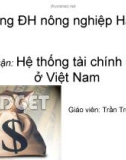 Hệ thống tài chính công ở Việt Nam