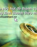 Tạo sức hút để tạo thành công trong kinh doanh mạng