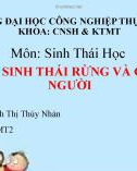 Bài thuyết trình: Hệ sinh thái rừng và con người