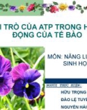 Thuyết trình: Vai trò của ATP trong hoạt động của tế bào