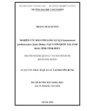 Luận văn Thạc sĩ Quản lý tài nguyên rừng: Nghiên cứu bảo tồn loài Xá Xị (Cinnamomum parthenoxylon (Jack) Meisn.) tại Vườn quốc gia Tam Đảo, tỉnh Vĩnh Phúc