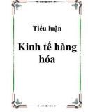 Tiểu luận Kinh tế hàng hóa.