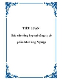 TIỂU LUẬN: Báo cáo tổng hợp tại công ty cổ phần khí Công Nghiệp