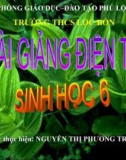 Giáo án sinh học bài 21 tiết 23: Quang hợp