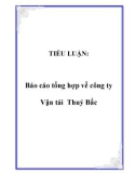 TIỂU LUẬN: Báo cáo tổng hợp về công ty Vận tải Thuỷ Bắc