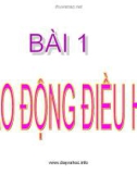 Bài giảng: Dao động điều hòa