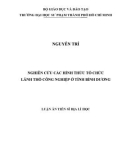 Luận án tiến sĩ Địa lí: Nghiên cứu các hình thức tổ chức lãnh thổ công nghiệp ở tỉnh Bình Dương