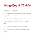 Năng động về Tổ chức