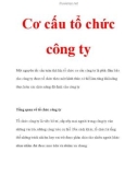 Cơ cấu tổ chức công ty