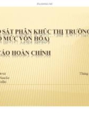 Thuyết trình: Khảo sát phân khúc thị trường 2011 (theo mức vốn hóa) báo cáo hoàn chỉnh