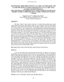 BÁO CÁO SO SÁNH ĐẶC ĐIỂM HÌNH THÁI CỦA CÁ TRÊ ‘LAI’ PHÚ QUỐC VỚI CÁ TRÊ PHÚ QUỐC (CLARIAS GRACILENTUS) VÀ CÁ TRÊ VÀNG (CLARIAS MACROCEPHALUS) 