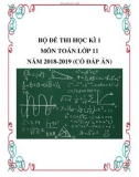 Bộ đề thi học kì 1 môn Toán lớp 11 năm 2018-2019 có đáp án