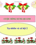 Bài 21: Cuộc sống xung quanh - Bài giảng điện tử Tự nhiên Xã hội 2 - L.K.Chi