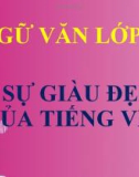 Bài giảng Ngữ văn 7 bài 21: Sự giàu đẹp của Tiếng Việt