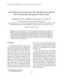 Báo cáo Ảnh hưởng của kích thước hạt TiO2 đến tính chất và hoạt độ xúc tác trong phản ứng quang oxy hóa p-xylen 