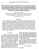 Báo cáo Nghiên cứu xác định dạng tồn tại của Asen (As) trong đất, rau má (Centella asiatica) và cải xanh (brassica Juncea) bằng phương pháp quang phổ hấp thu nguyên tử (AAS) kỹ thuật hydrua hoá (HG) 