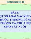 Bài giảng Công nghệ 10 bài 37: Một số loại vacxin và thuốc thường dùng để phòng và chữa bệnh cho vật nuôi