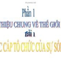 Các cấp tổ chứ của thế giới sống