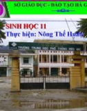 Bài giảng Sinh học 11 - Bài 19: Tuần hoàn máu (Tiếp theo) - Nông Thế Huân