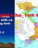 Giáo án điện tử môn địa lý: Địa lý 12 Bài 17 Tiết 19