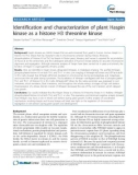 báo cáo khoa học: Identification and characterization of plant Haspin kinase as a histone H3 threonine kinase