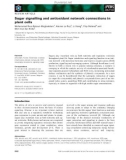 Báo cáo khoa học: Sugar signalling and antioxidant network connections in plant cells