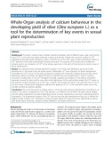 báo cáo khoa học: Whole-Organ analysis of calcium behaviour in the developing pistil of olive (Olea europaea L.) as a tool for the determination of key events in sexual plant 