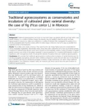 báo cáo khoa học: Traditional agroecosystems as conservatories and incubators of cultivated plant varietal diversity: the case of fig (Ficus carica L.) in Morocco