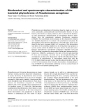 Báo cáo khoa học: Biochemical and spectroscopic characterization of the bacterial phytochrome of Pseudomonas aeruginosa