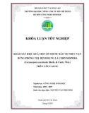 KHẢO SÁT HIỆU QUẢ MỘT SỐ THUỐC BẢO VỆ THỰC VẬT DÙNG PHÕNG TRỊ BỆNH RỤNG LÁ CORYNESPORA (Corynespora cassiicola (Berk. & Curt.) Wei.) TRÊN CÂY CAO SU