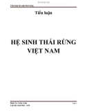 Tiểu luận: Hệ sinh thái rừng Việt Nam