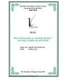 Đề tài: Bảo vệ thương hiệu các sản phẩm sữa Ba Vì của công ty cổ phần sữa quốc tế IDP