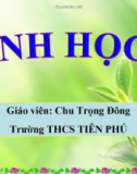 Tiết 24: ĐỘT BIẾN SỐ LƯỢNG NHIỄM SẮC THỂ