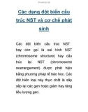 Các dạng đột biến cấu trúc NST và cơ chế phát sinh