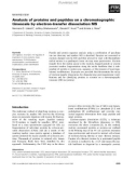 Báo cáo khoa học: Analysis of proteins and peptides on a chromatographic timescale by electron-transfer dissociation MS