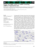 Báo cáo khoa học: Protein and mRNA content of TcDHH1-containing mRNPs in Trypanosoma cruzi