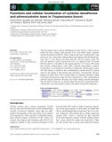 Báo cáo khoa học: Functions and cellular localization of cysteine desulfurase and selenocysteine lyase in Trypanosoma brucei