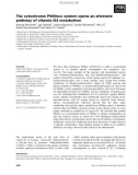 Báo cáo khoa học: The cytochrome P450scc system opens an alternate pathway of vitamin D3 metabolism