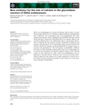 Báo cáo khoa học: New evidence for the role of calcium in the glycosidase reaction of GH43 arabinanases