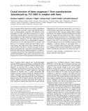 Báo cáo khoa học: Crystal structure of heme oxygenase-1 from cyanobacterium Synechocystis sp. PCC 6803 in complex with heme