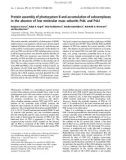 Báo cáo khóa học: Protein assembly of photosystem II and accumulation of subcomplexes in the absence of low molecular mass subunits PsbL and PsbJ