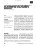 Báo cáo khoa học: Photosynthetic acclimation: Structural reorganisation of light harvesting antenna – role of redox-dependent phosphorylation of major and minor chlorophyll a/b binding proteins