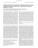 Báo cáo khoa học: Analyzing changes of chromatin-bound replication proteins occurring in response to and after release from a hypoxic block of replicon initiation in T24 cells