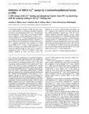 Báo cáo Y học: Inhibition of SERCA Ca2+ pumps by 2-aminoethoxydiphenyl borate (2-APB) 2-APB reduces both Ca2+ binding and phosphoryl transfer from ATP, by interfering with the pathway leading to the Ca2+-binding sites