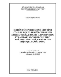 Luận án Tiến sĩ Sinh học: Nghiên cứu pheromone giới tính của sâu đục trái bưởi Citripestis sagittiferella Moore (Lepidoptera Pyralidae) xác định cấu trúc hoá học, tổng hợp và đánh giá hiệu quả ngoài đồng