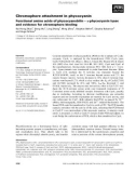 Báo cáo khoa học: Chromophore attachment in phycocyanin Functional amino acids of phycocyanobilin – a-phycocyanin lyase and evidence for chromophore binding